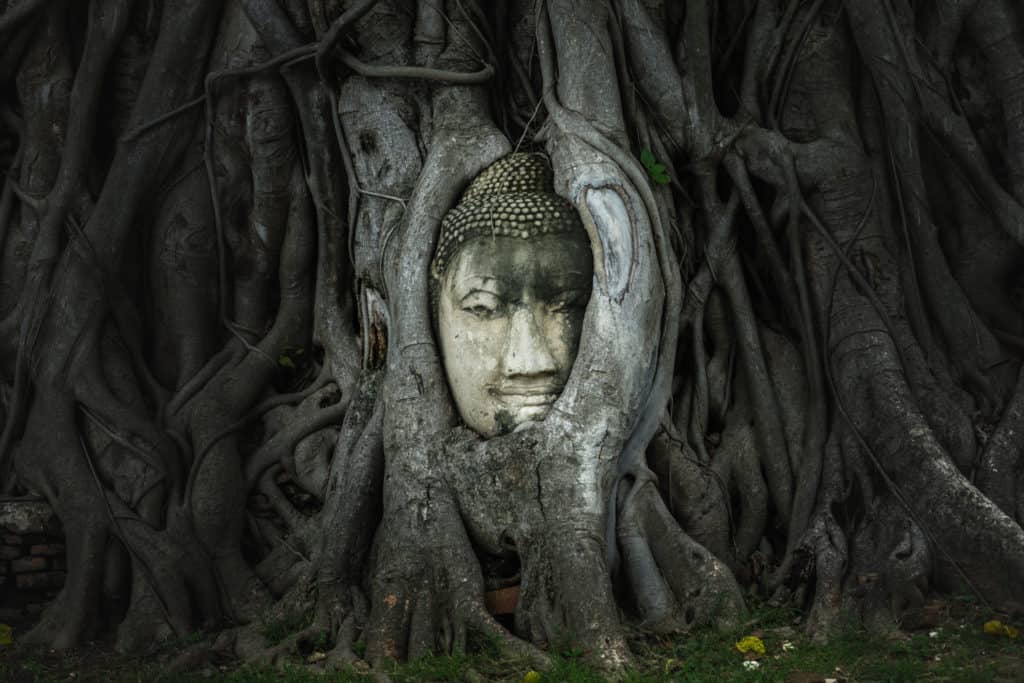 Thailand, photo 19