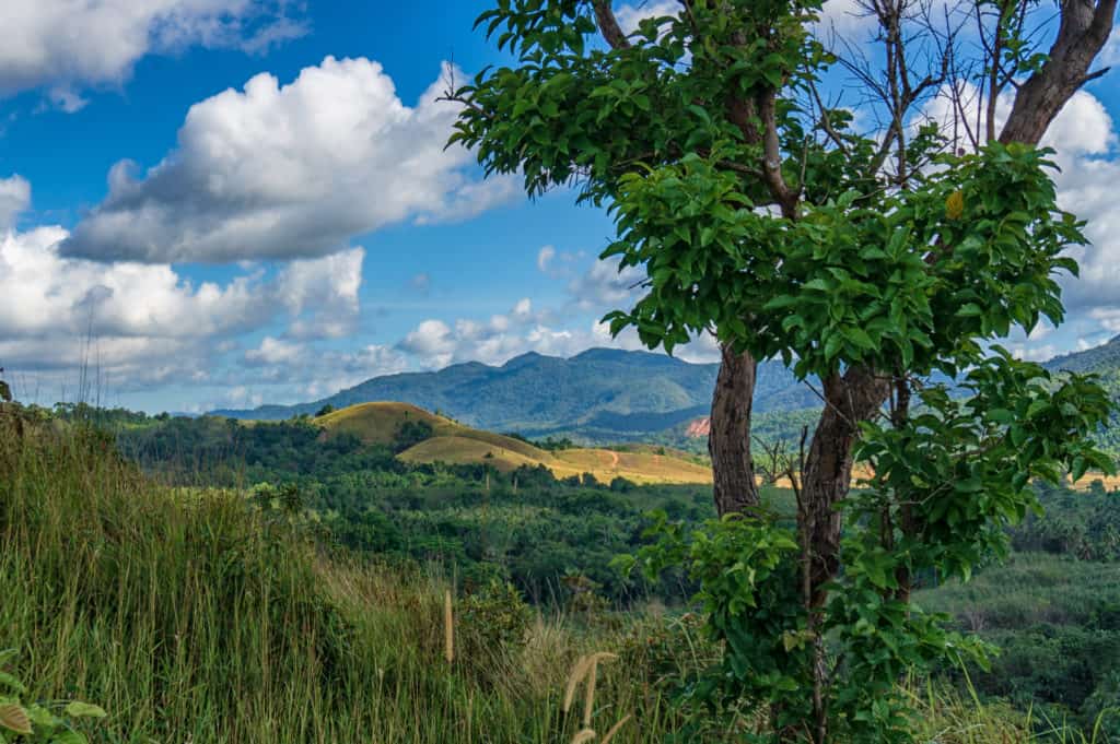 Thailand, photo 34