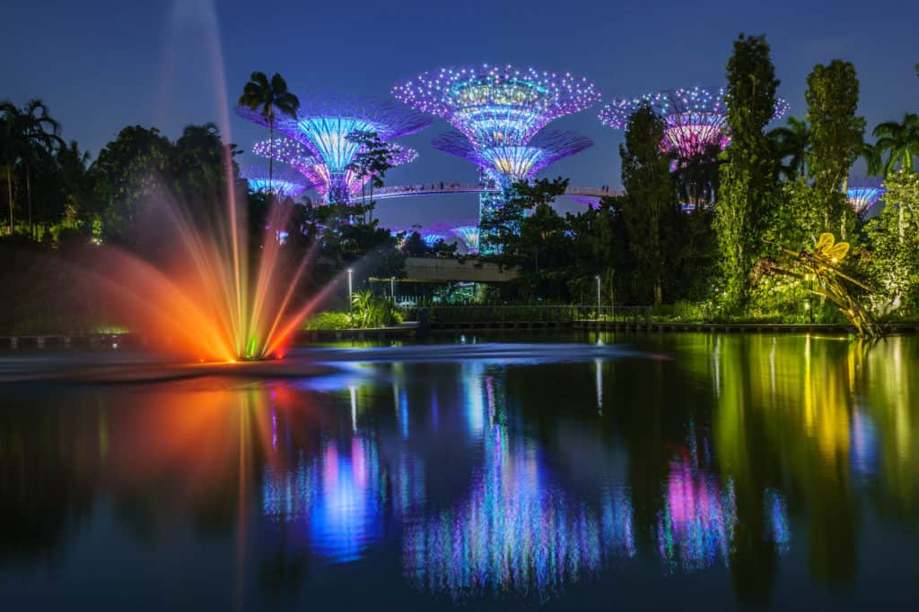 The garden is glowing