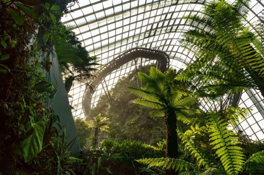 artificial rain forest
