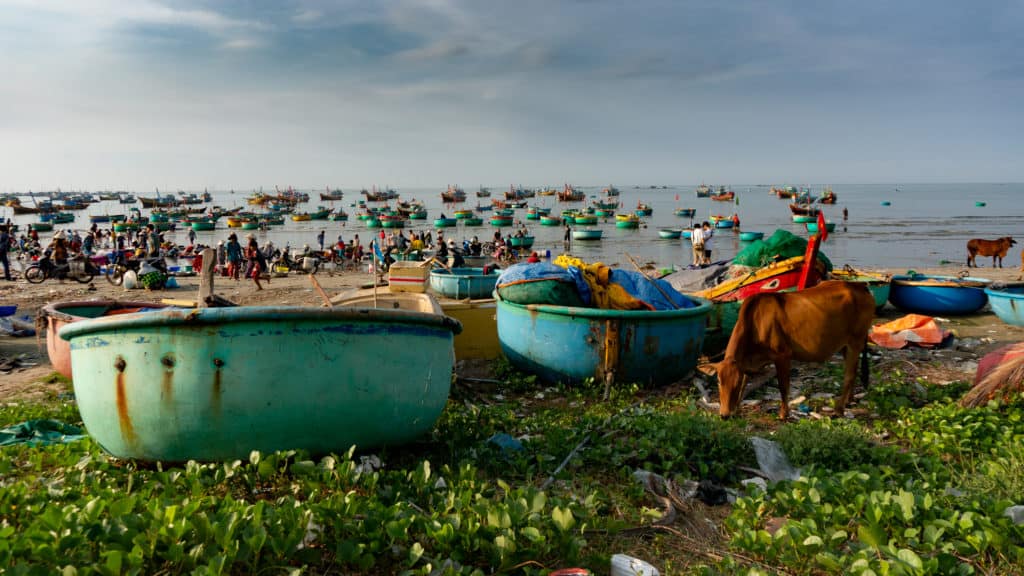 Vietnam, photo 9
