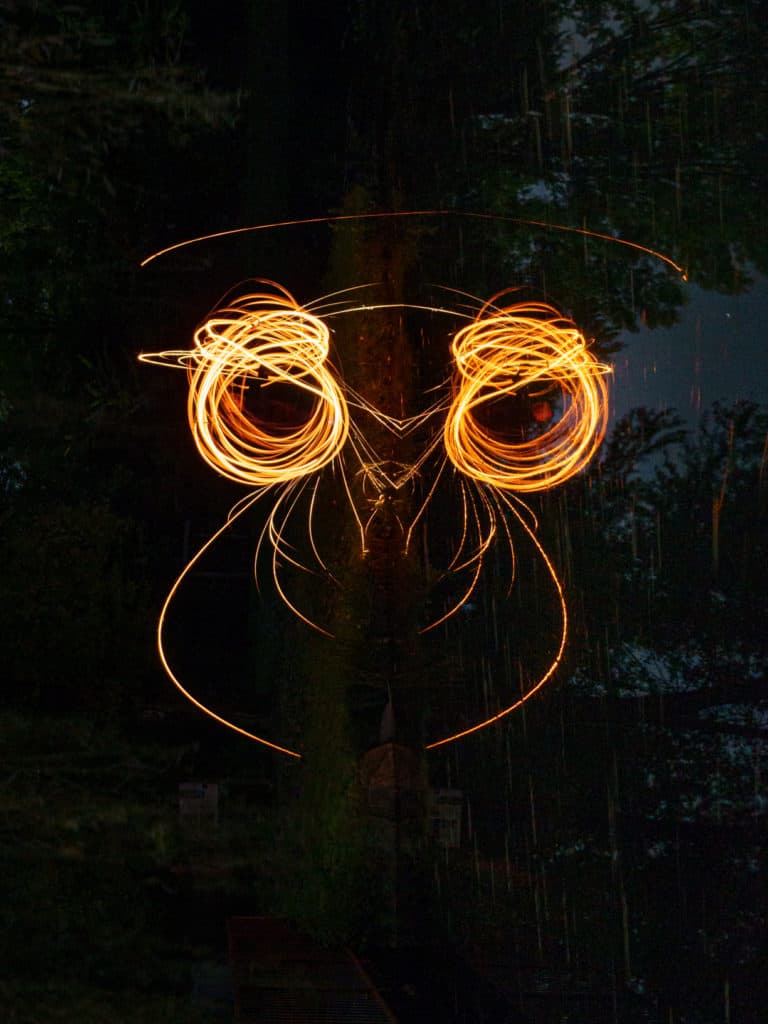 Light up the night, photo 2